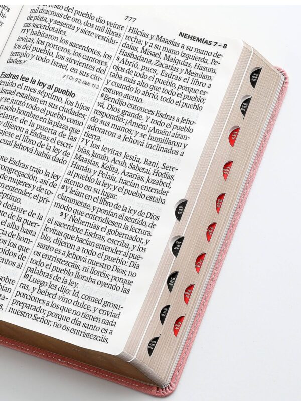 Biblia RVR1960 Super Gigante con Índice Rosa, Éfeso - Imagen 3