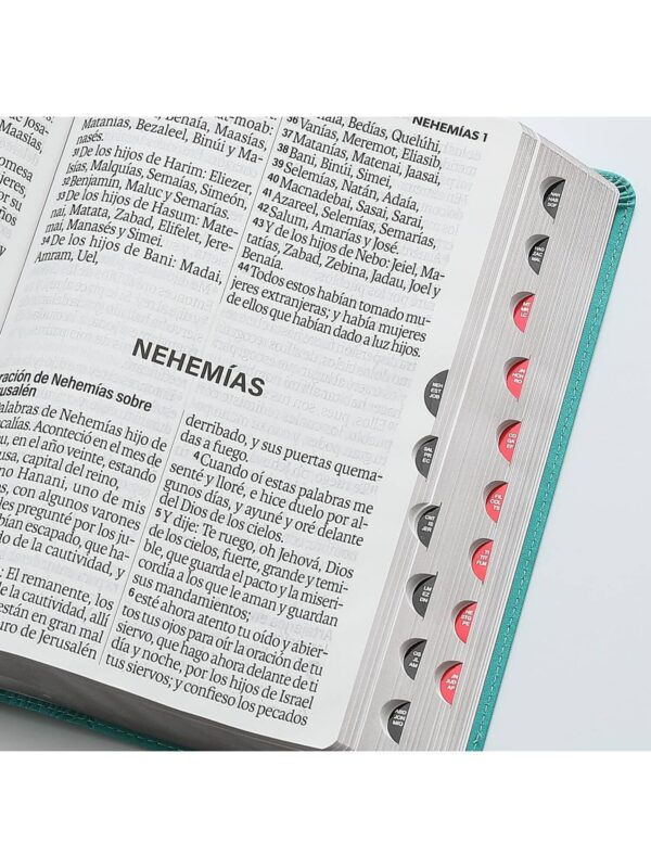 Biblia RVR1960 Super Gigante con Índice Turquesa, Éfeso - Imagen 3