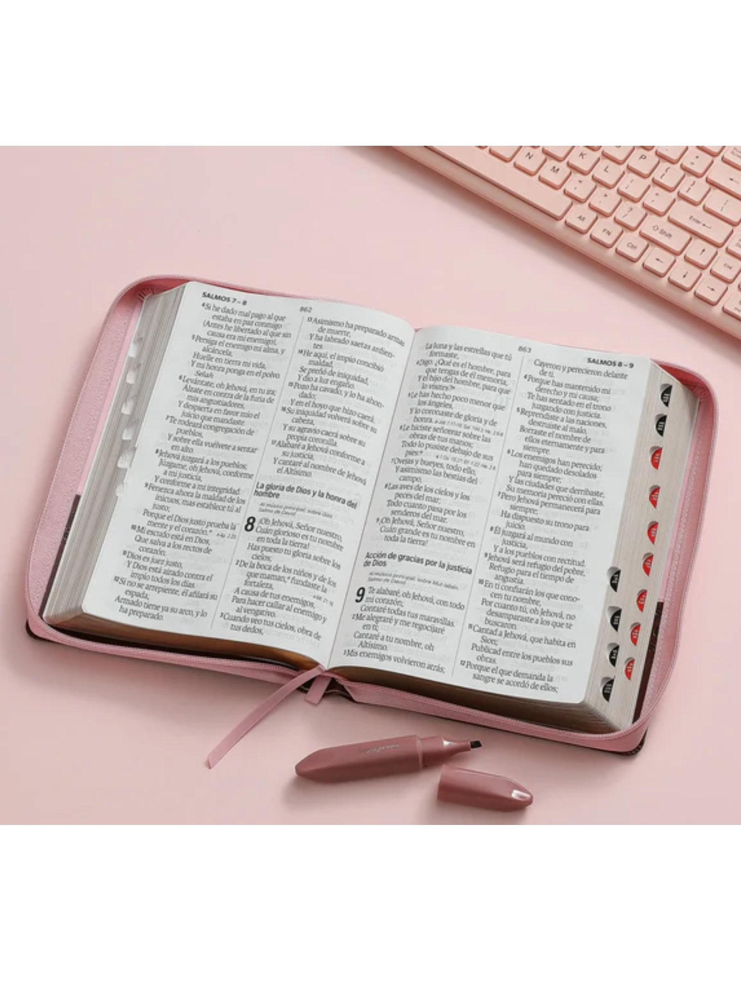 Biblia RVR1960 Super Gigante con Índice y Cierre Rosa, Café - Imagen 3