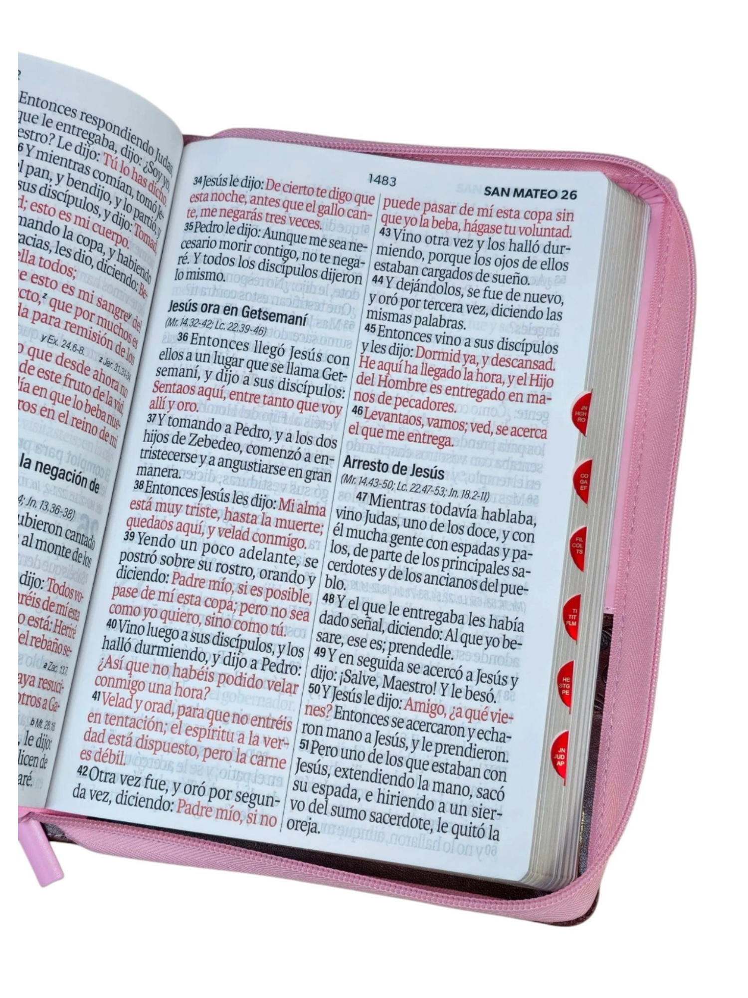 Biblia RVR1960 Super Gigante con Índice y Cierre Rosa, Café - Imagen 5