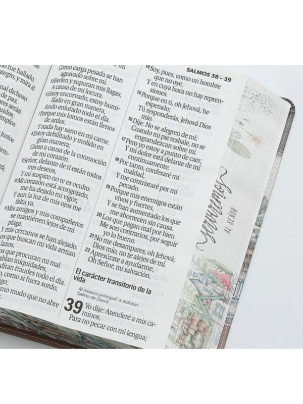 Biblia RVR1960 Super Gigante Café, Yo y Mi Casa - Imagen 4