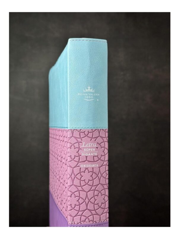 Biblia RVR1960 con Cierre y Índice Tricolor Azul, Rosa, Lila - Imagen 3