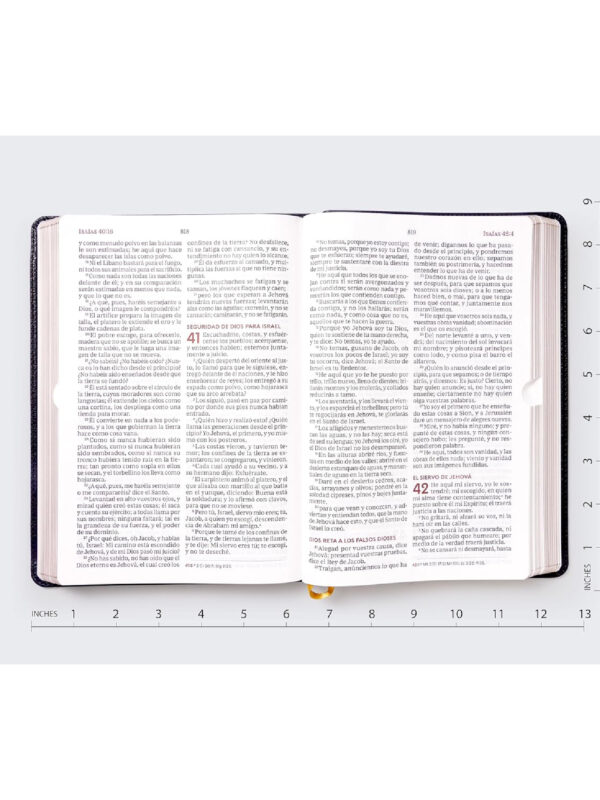 Biblia RVR 1960 Del Ministro Letra Gigante - Imagen 4