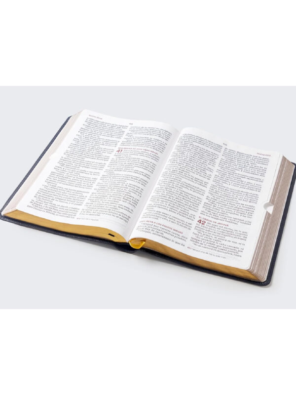 Biblia RVR 1960 Del Ministro Letra Gigante - Imagen 5