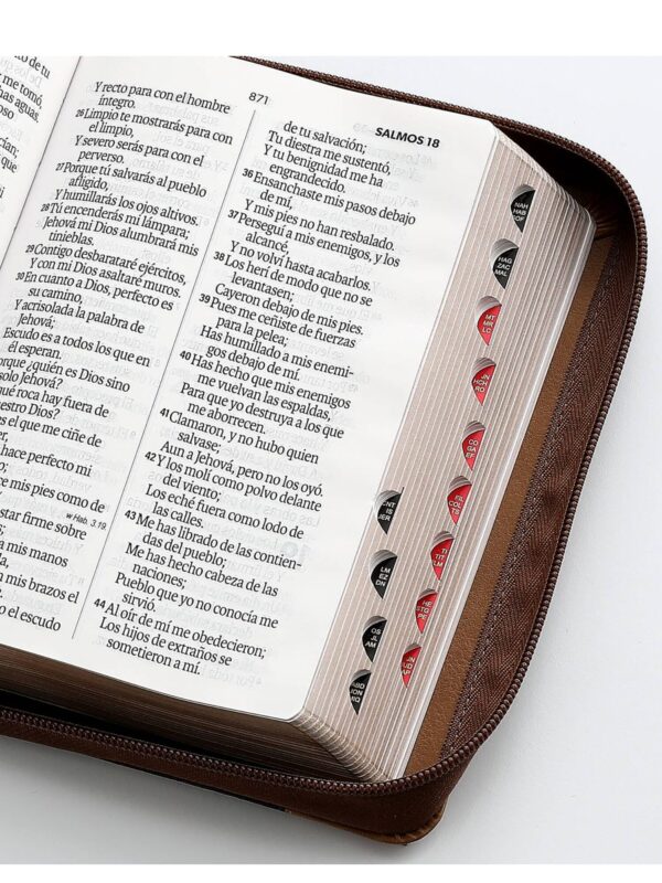 Biblia RVR1960 Sentí Piel Tricolor Café, Café Oscuro, Café Águila - Imagen 2