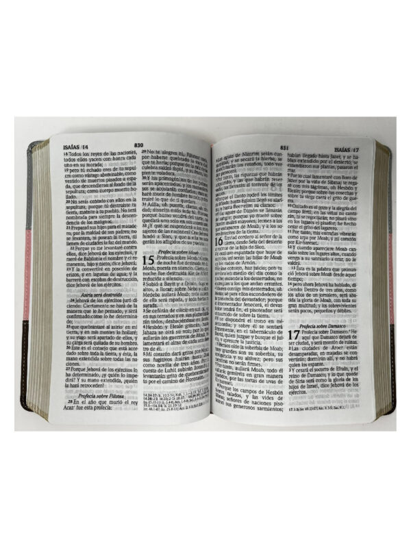 Biblia RVR 1960 Letra Grande Tamaño Manual Tricolor Rosa Blanco Marrón - Imagen 4