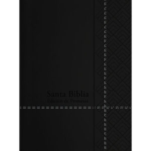 Biblia de Promesas RVR 1960
