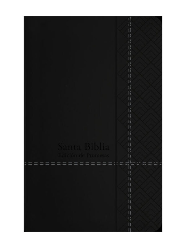 Biblia de Promesas RVR 1960