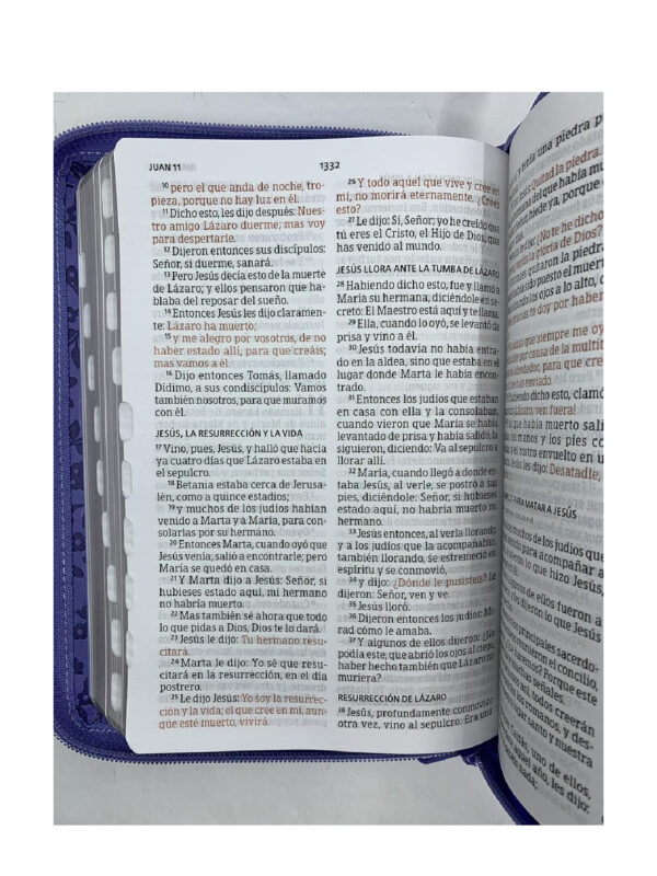Biblia  RVR 1960 Letra Grande  Manual  Lavanda símil piel Con Índice y cierre - Imagen 2