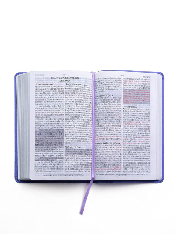 Biblia de Promesas RVR 1960 Manual  Letra Grande , Piel Especial, Lavanda Claro - Imagen 2