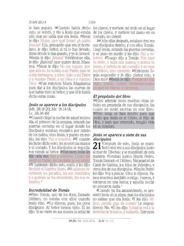 Biblia de Promesas RVR 1960 Manual  Letra Grande , Piel Especial, Lavanda Claro - Imagen 3