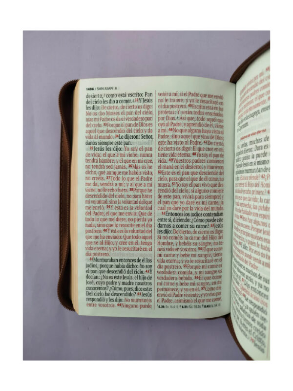 Biblia  RVR 1960 Letra Grande Mediana  Café Con Ayudas Digitales - Imagen 2