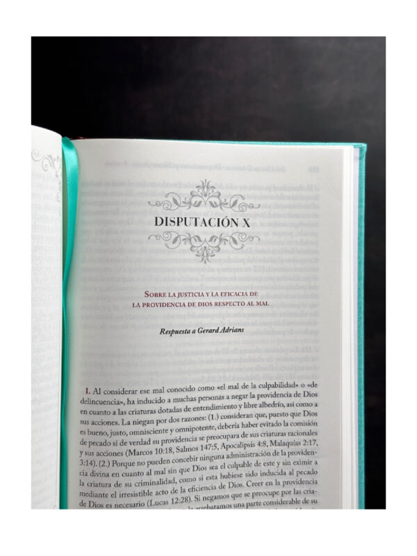 Disputaciones Públicas - Imagen 2