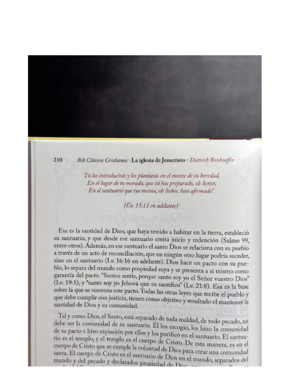 El Precio de la Gracia : Dietrich Bonhoeffer - Imagen 2