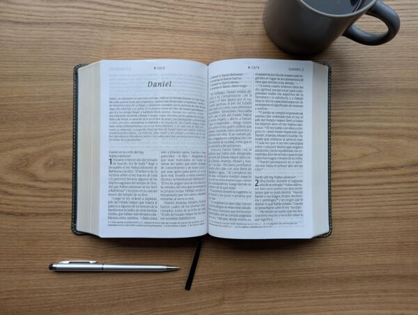 Biblia Compacta NTV/ Gris/ LG Filament Sin Cierre - Imagen 2