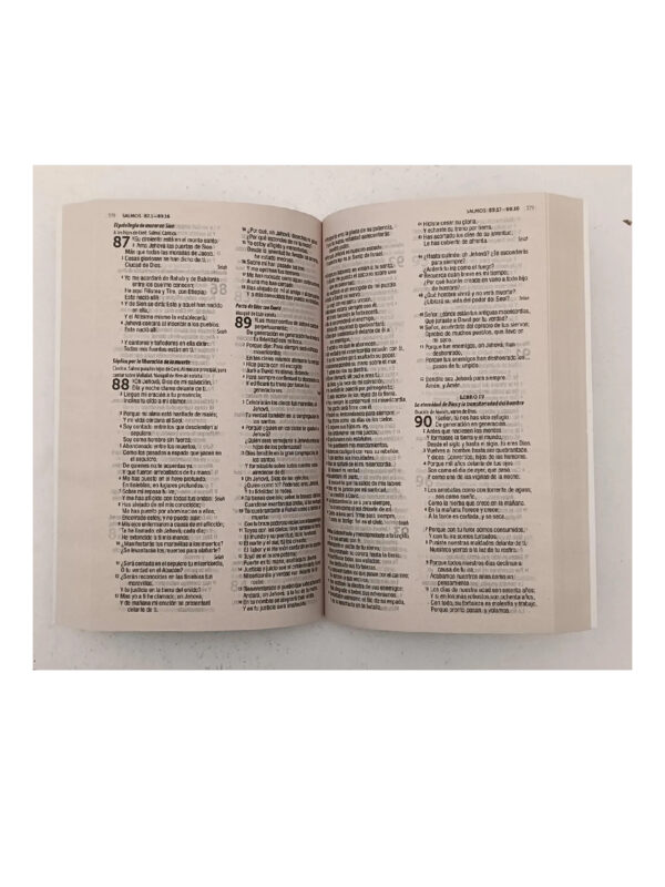 Santa Biblia RV 1960 Misionera Forrada - Imagen 2