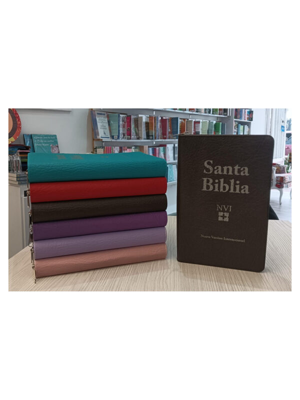 Biblia NVI La Nueva Vida En Cristo/ Forrada