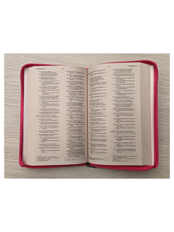 Biblia NVI La Nueva Vida En Cristo/ Forrada - Imagen 2