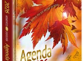 Agenda 2026/ Cuando Ustedes Ven / Naranja Otoño