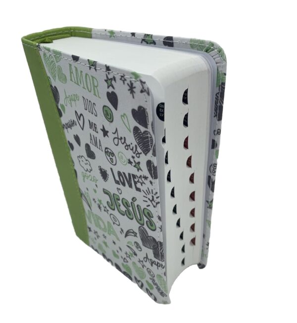 Biblia RV60 Para Jóvenes Bolsillo Verde