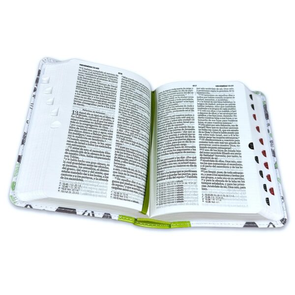 Biblia RV60 Para Jóvenes Bolsillo Verde - Imagen 2
