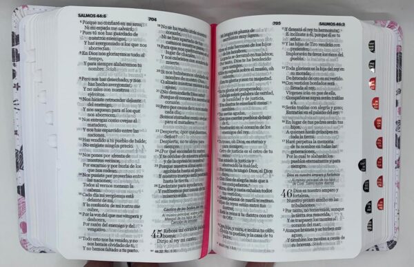 Biblia RV60 Para Jóvenes Bolsillo Fucsia - Imagen 4