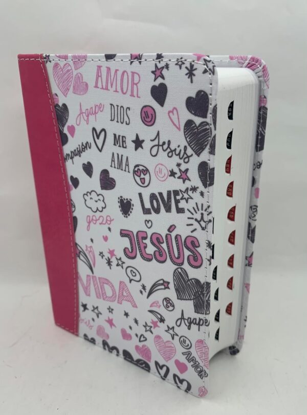 Biblia RV60 Para Jóvenes Bolsillo Fucsia