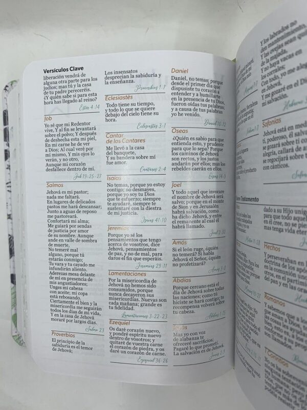 Biblia RV60 Para Jóvenes Bolsillo Verde - Imagen 3