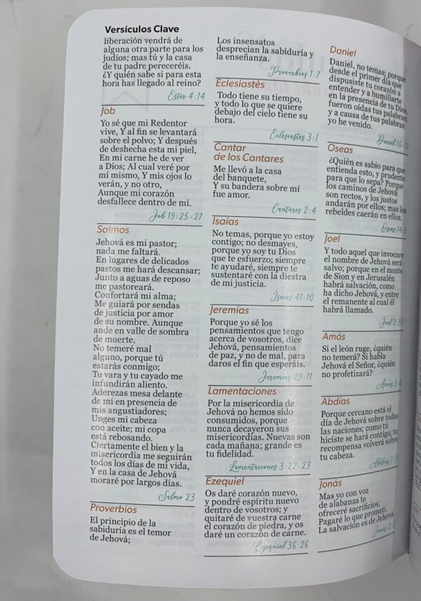 Biblia RV60 Para Jóvenes Bolsillo Fucsia - Imagen 2