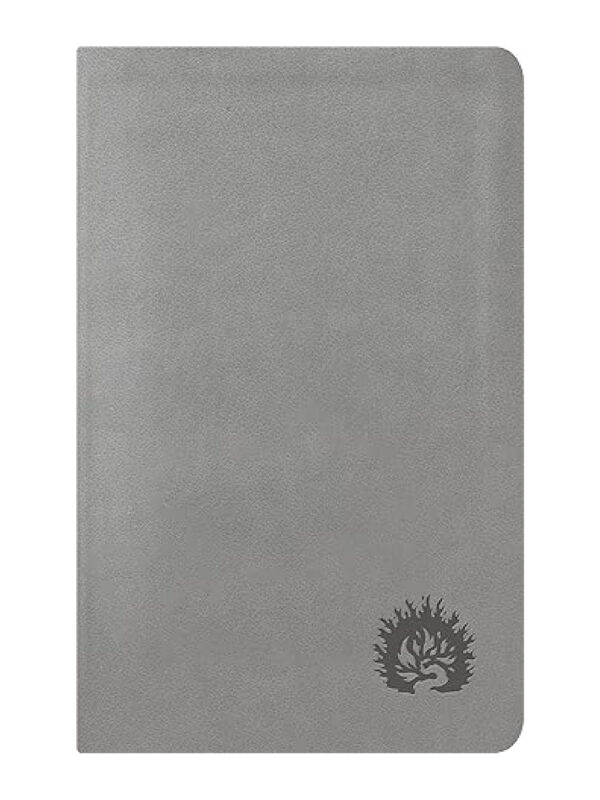 Biblia de Estudio de La Reforma Gris