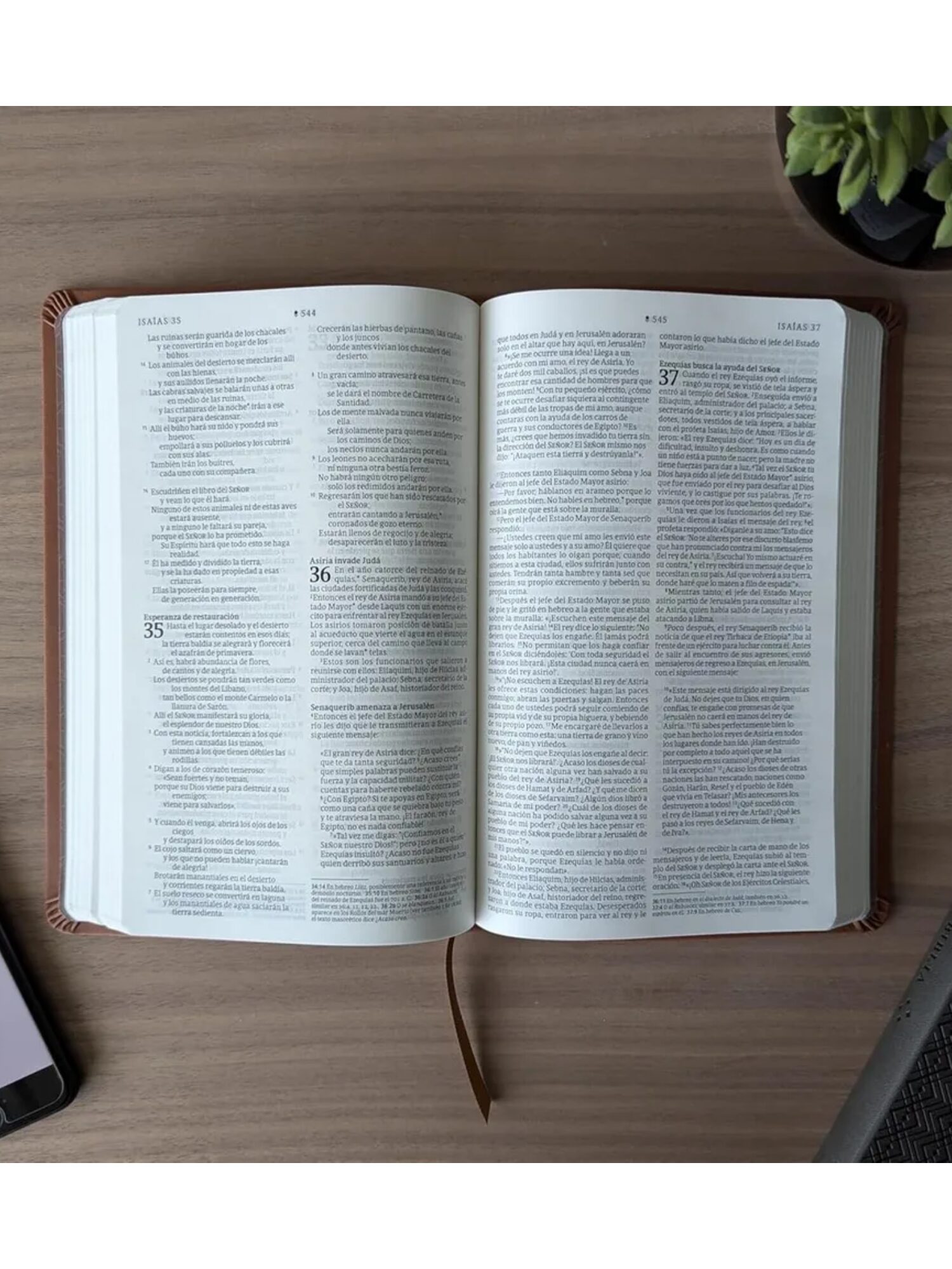 Biblia NTV Premium Sentí Piel Café - Imagen 4