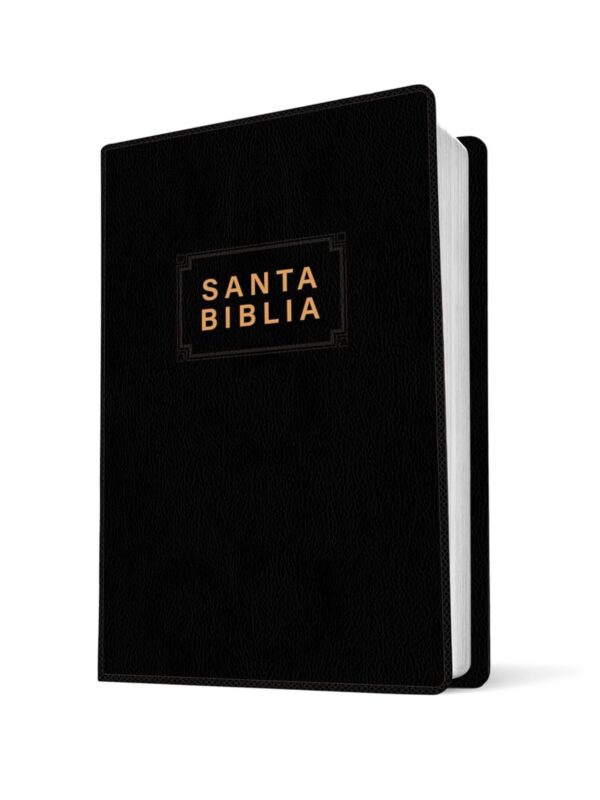 Biblia NTV Edición Premio Y Regalo Negro Vinilo - Imagen 3