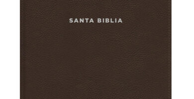 Biblia NVI de Estudio Actualizada, Revisión 2022, Café, Interior a Color