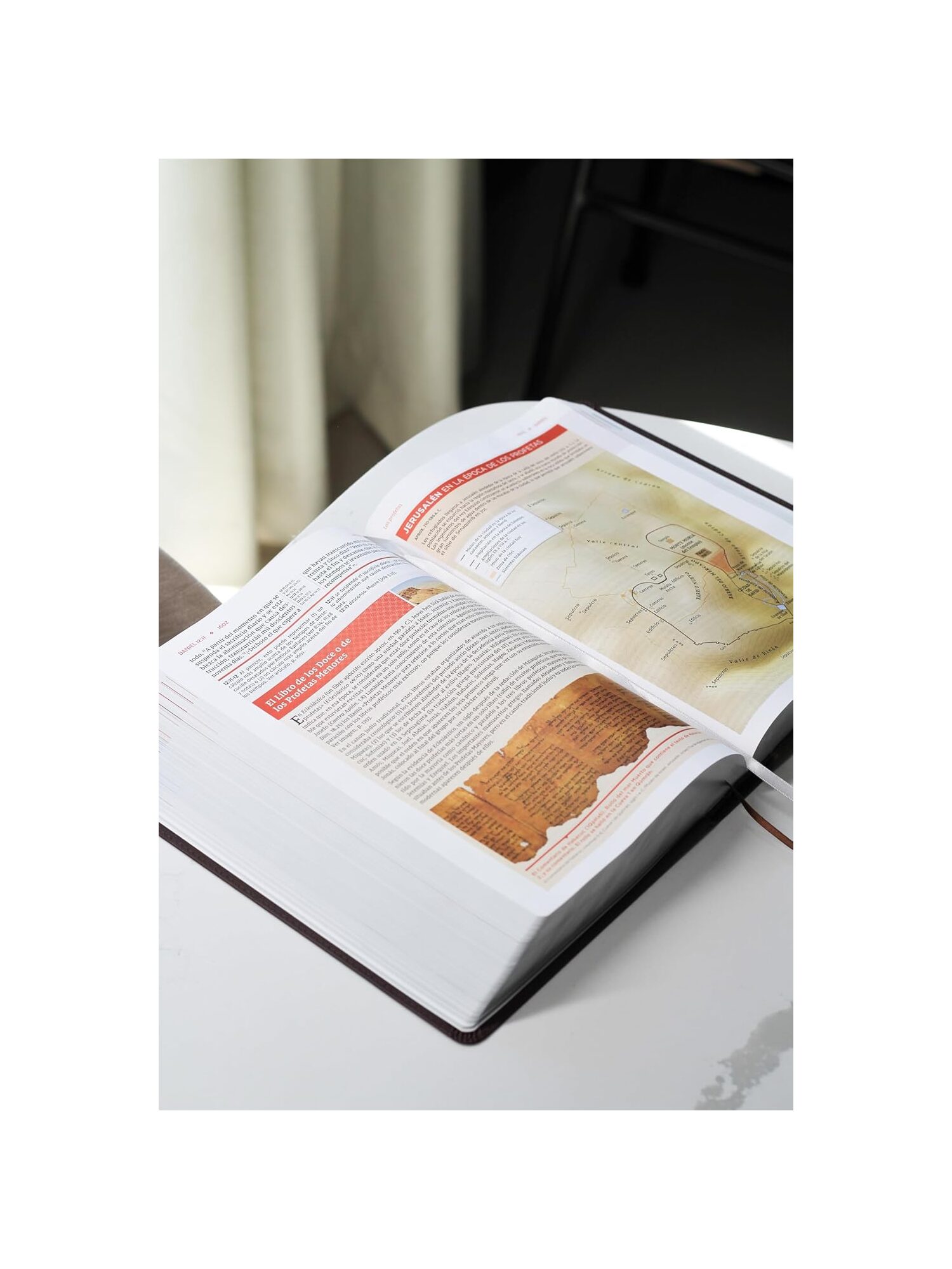 Biblia NVI de Estudio Espectacular Actualizada, Revisión 2022, Café - Imagen 3