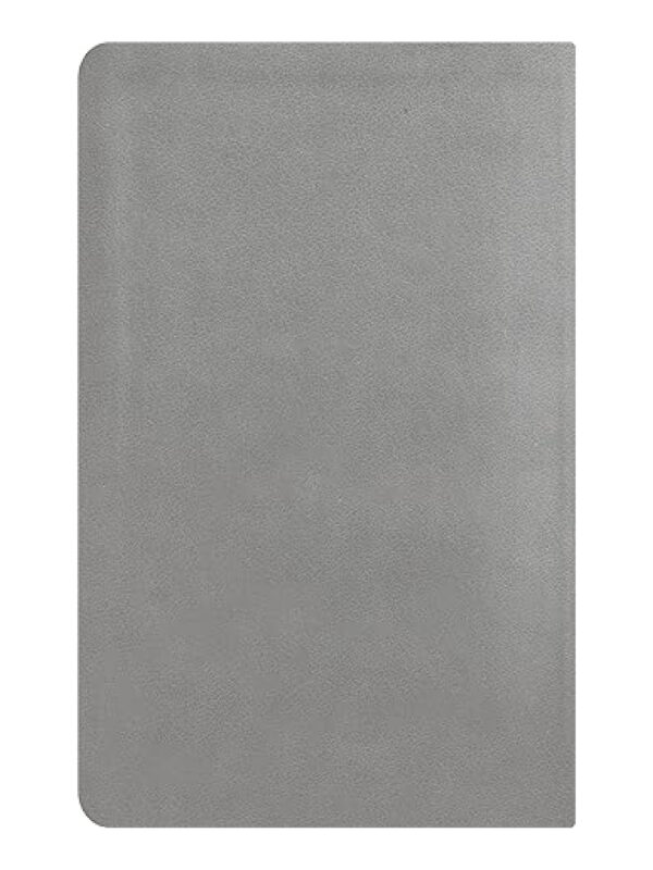 Biblia de Estudio de La Reforma Gris - Imagen 2