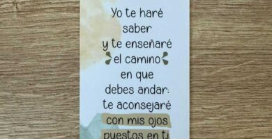 separadores de Biblia y libros