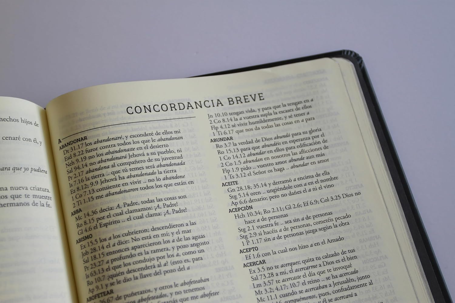 Biblia RVR 1960 de Apuntes Tapa Dura, Negro y Oro - Imagen 4