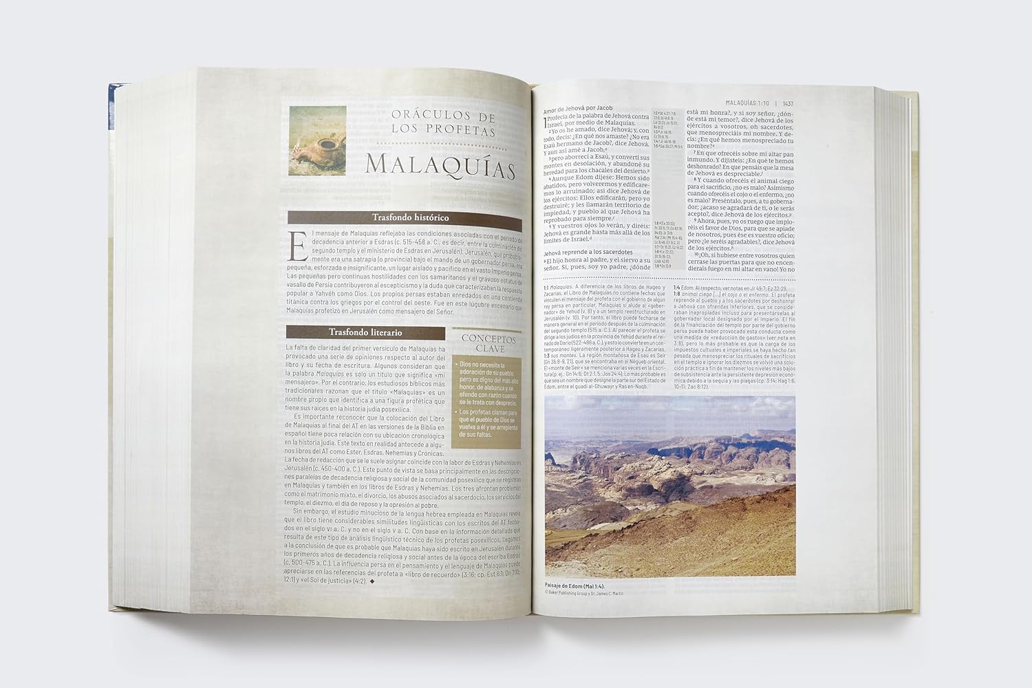 Biblia RVR Revisada De Estudio Trasfondo Cultural - Imagen 2