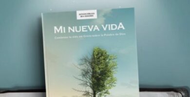 Mi Nueva Vida/ Estudio Biblico Comienza Tu Vida En Cristo
