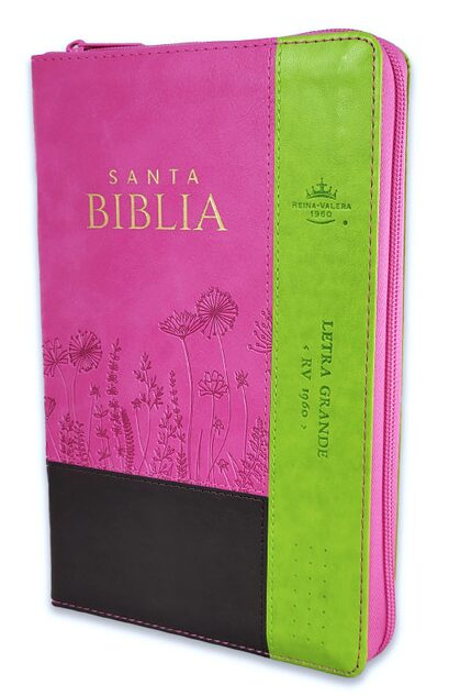 Biblia RVR1960 065LGCZTI Fucsia Verde Cierre Índice