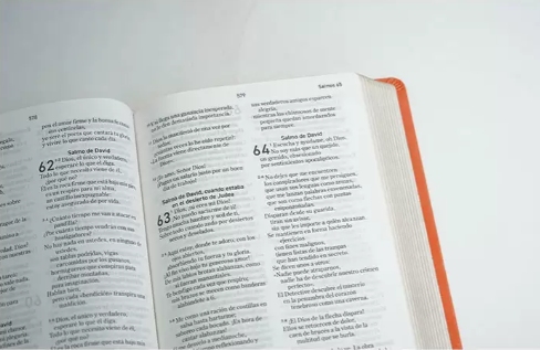 Biblia El Mensaje Naranja/ Imitación Piel - Imagen 3