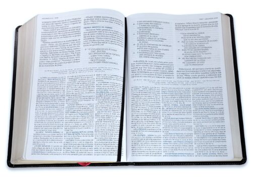 Biblia NBLA de Estudio MacArthur Piel Negro - Imagen 6