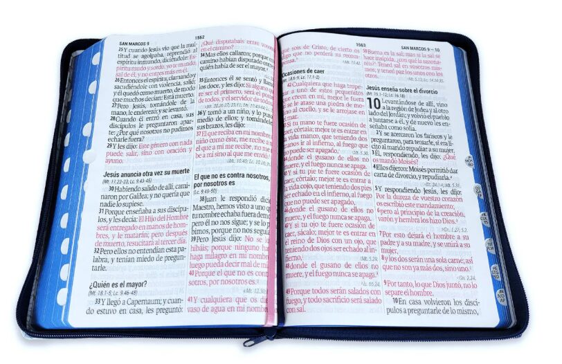 Biblia Reina Valera 1960 Letra Gigante Cierre Flores Azul - Imagen 2